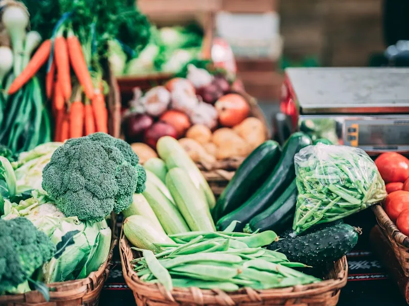 Sharp pruning shears cutting through a plant stem in the garden